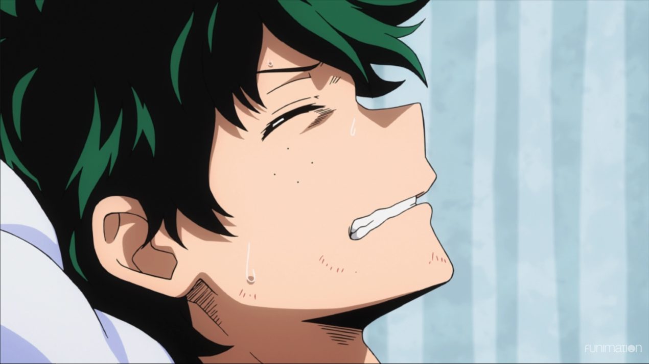 Izuku Midoriya Father Ini 5 Fakta Ayah Deku Hisashi M - vrogue.co