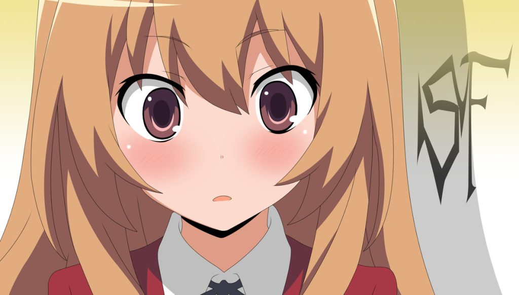 does the toradora light novel continue where the anime ends